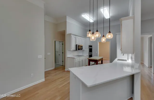 $385,000 | 101 Honey Locust Court, Madison, MS 39110