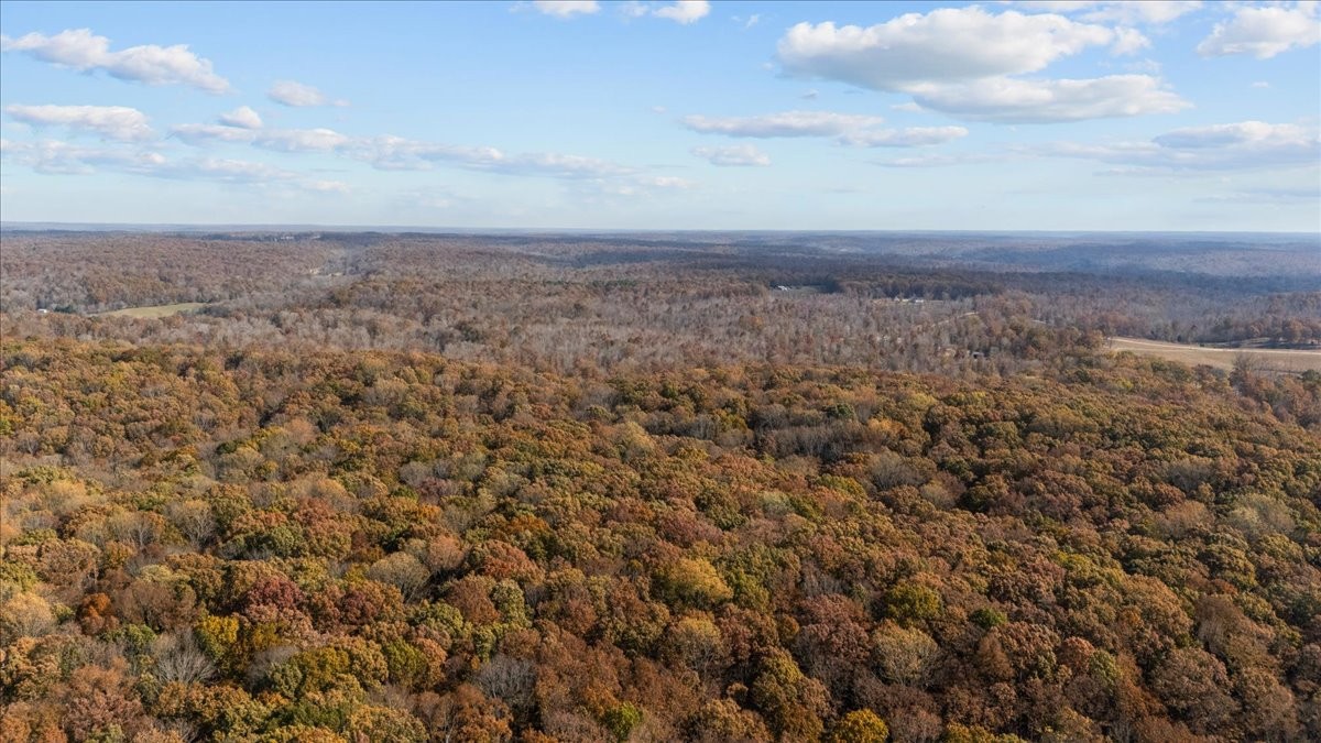 120 Fiser Road Waverly, TN 37185 - Photo 62 of 90