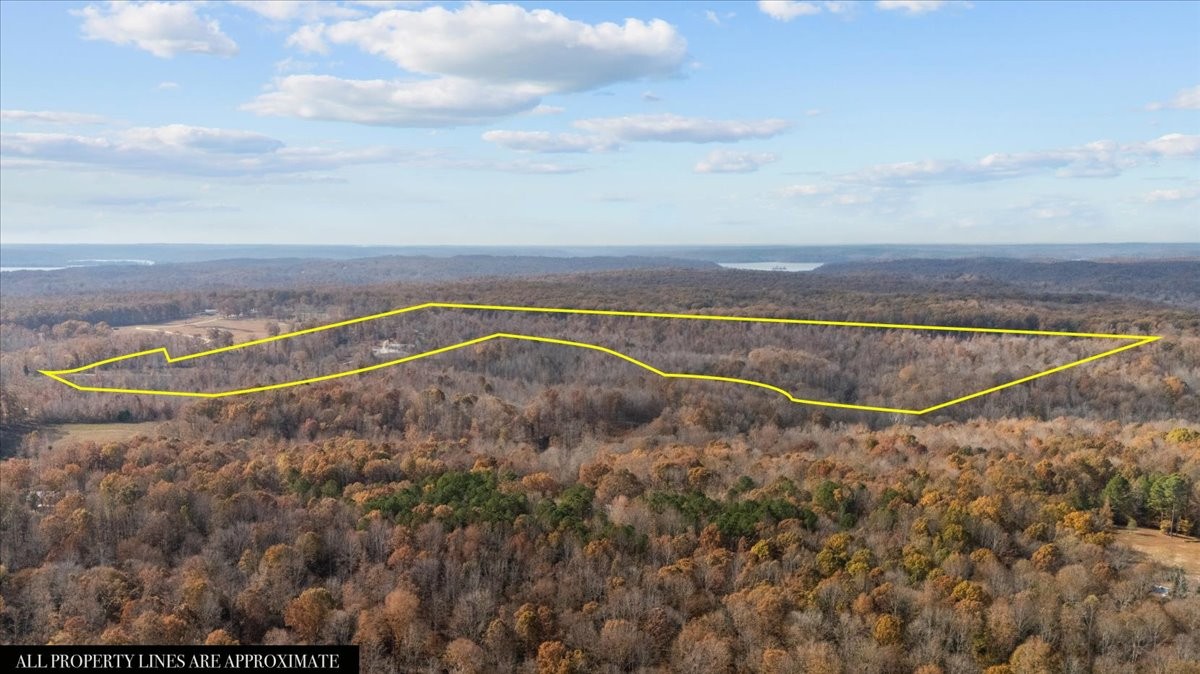 120 Fiser Road Waverly, TN 37185 - Photo 67 of 90