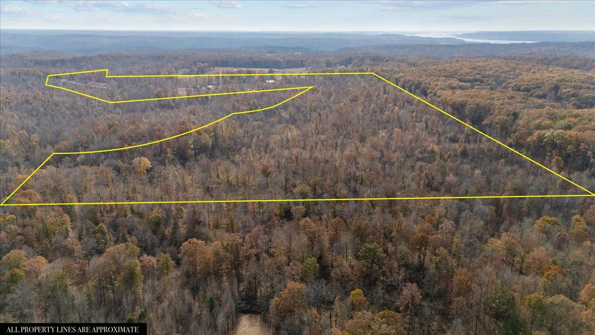 120 Fiser Road Waverly, TN 37185 - Photo 68 of 90