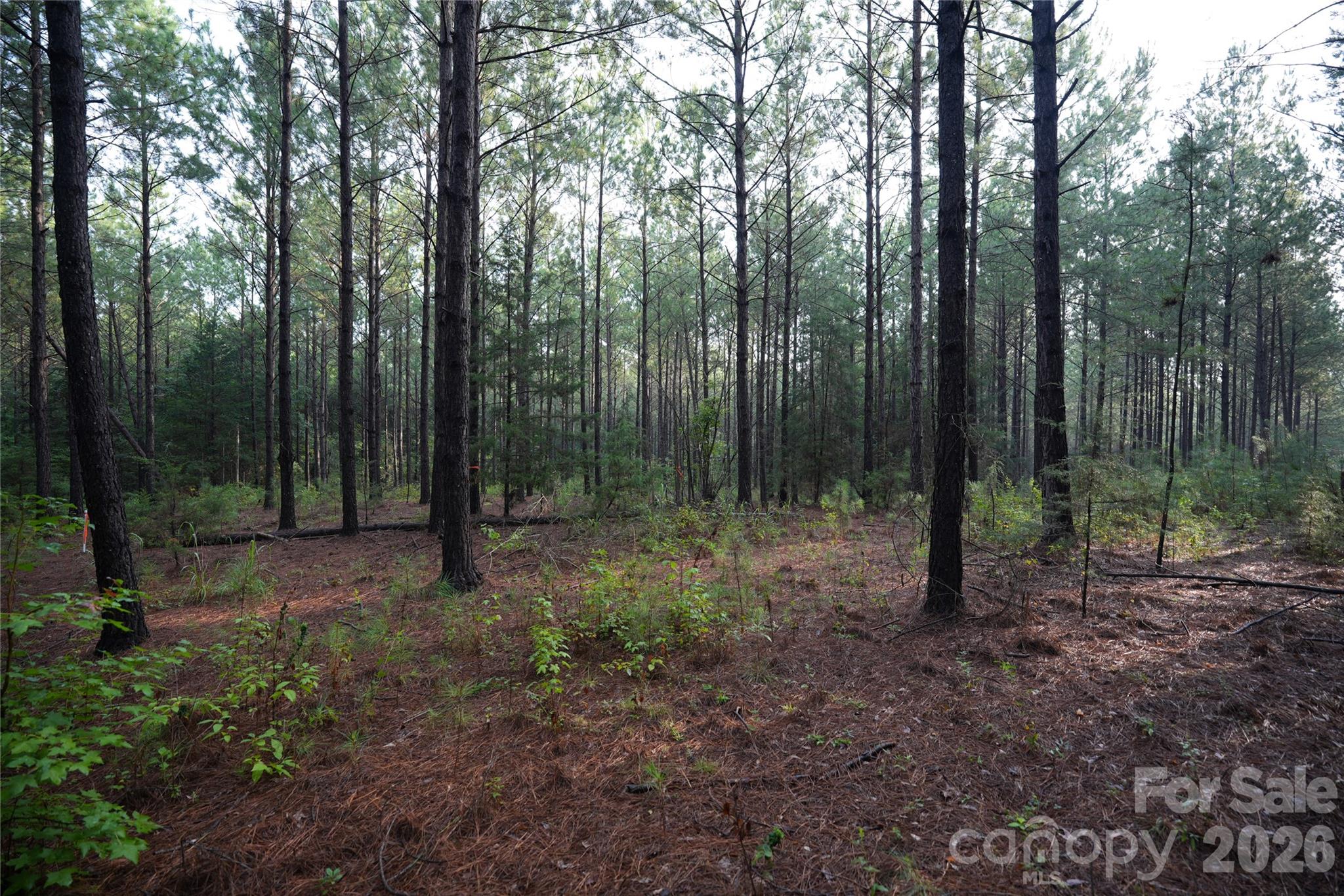 0 Bobby Faucette Road, Unit 8 Jonesville, SC 29353 - Photo 12 of 20 Gallery Image 12