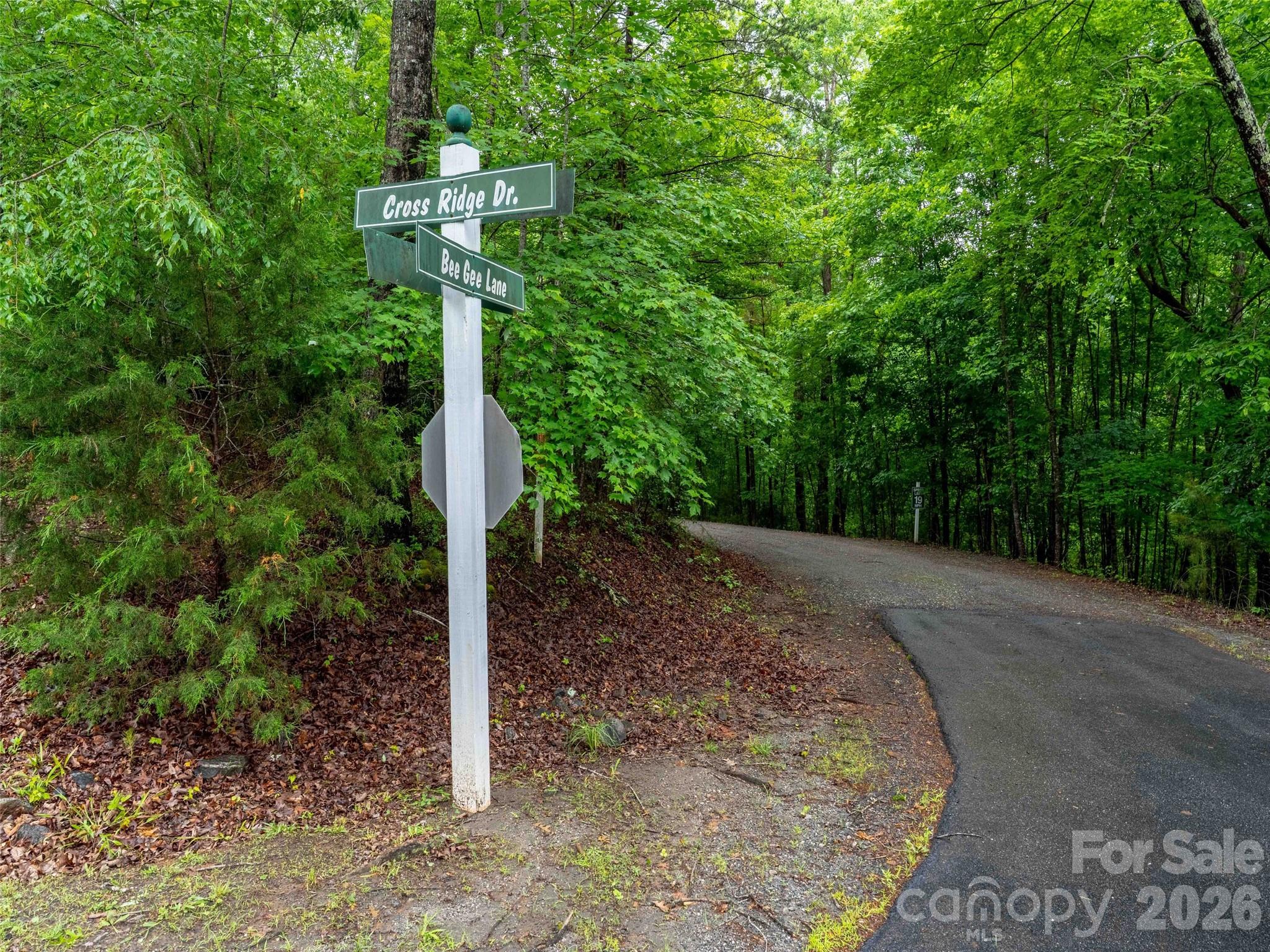 0 Bee Gee Drive Rutherfordton, NC 28139 - Photo 5 of 26