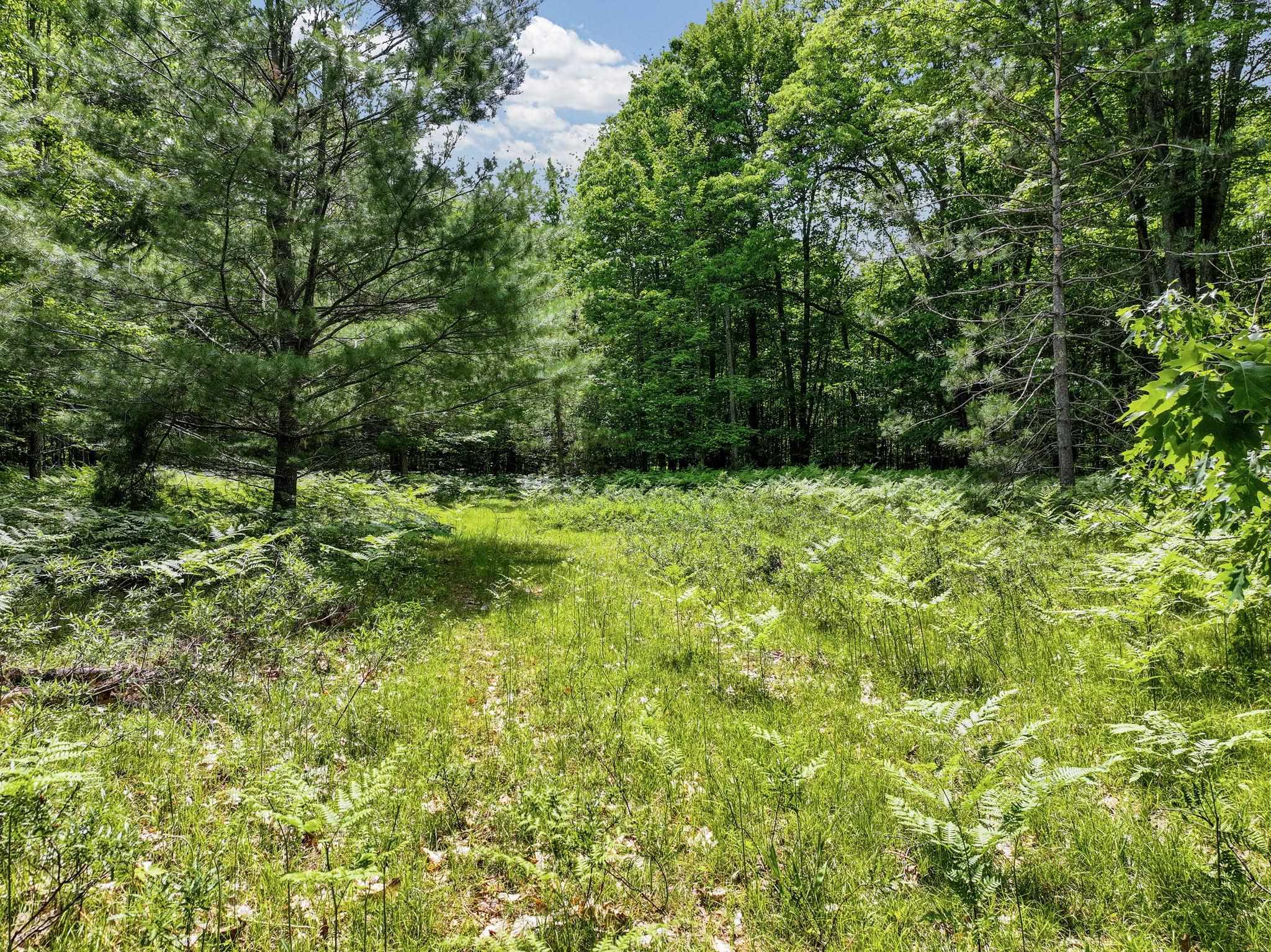 Parcel C Seeley Road Cadillac, MI 49651 - Photo 10 of 18