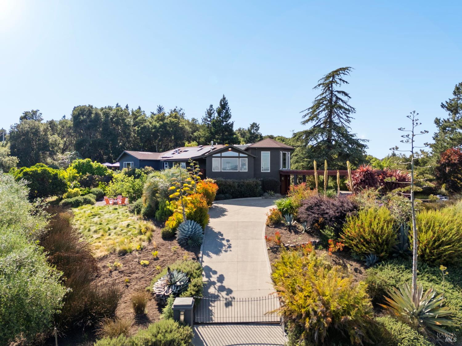 2563 Laguna Road Santa Rosa, CA 95401 - Photo 19 of 63 The grounds dissolve the boundary between cultivated and wild so gradually you stop noticing where the garden ends and the mountain range begins. This is not accidental. Professionally designed by acclaimed firms in Sausalito and Santa Rosa, the landscape has since been lovingly maintained and expanded by the seller, whose master gardener designation is evident in every considered corner.