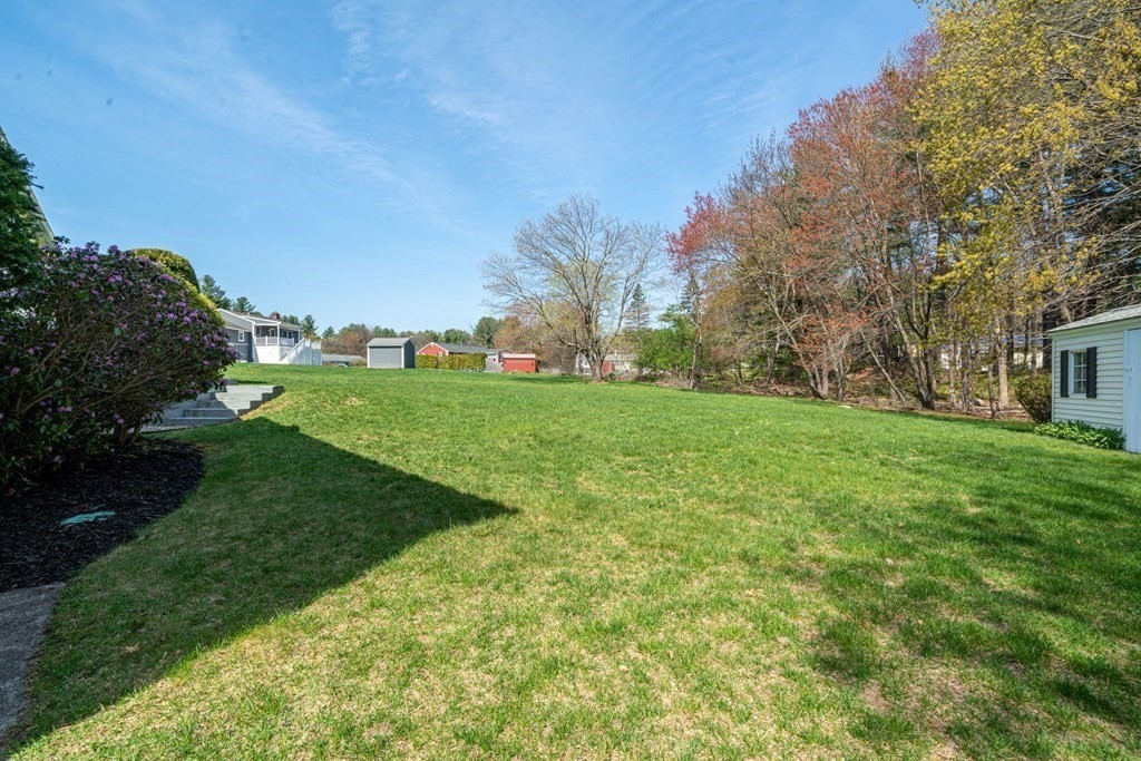 5 Shalloo Road Billerica, MA 01821 - Photo 35 of 42 a backyard of a house with plants and large trees
