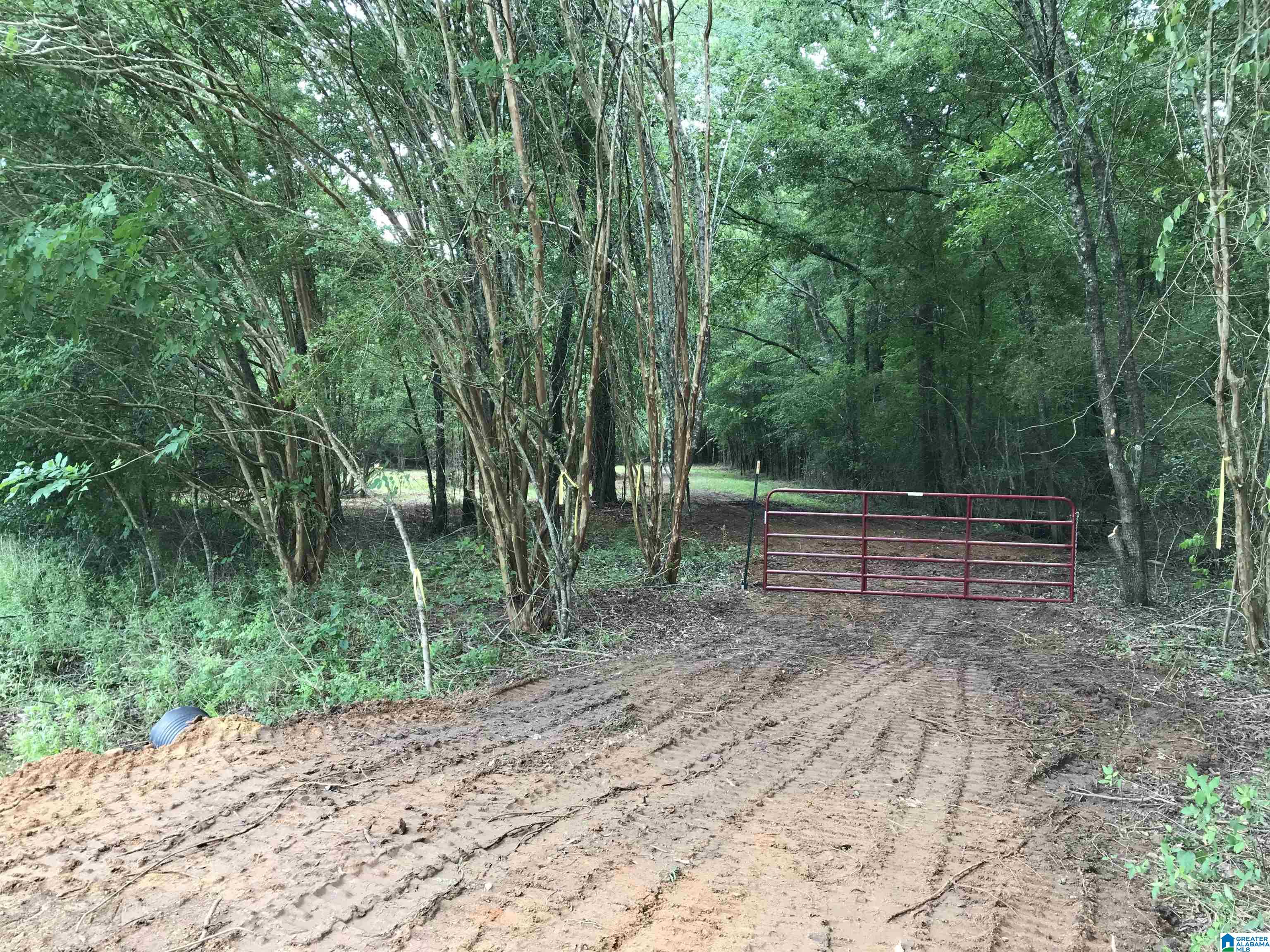 3 Chancellors Ferry Road, Unit 1 Harpersville, AL 35078 - Photo 13 of 14