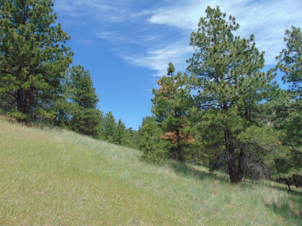 19 Lookout Lane Cascade, MT 59421 - Photo 15 of 30 Gallery Image 15