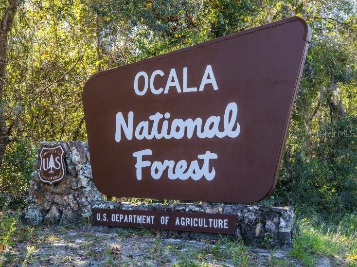 18 Hemlock Circle Pass Ocala, FL 34472 - Photo 28 of 29 a sign broad on the side of the road