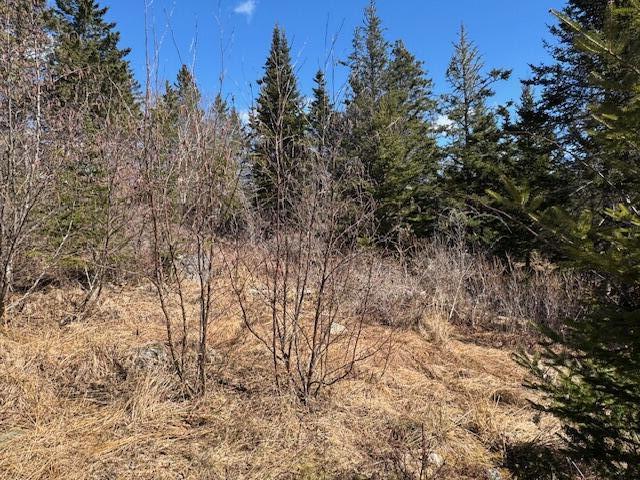 M17-l15 Battle Avenue Castine, ME 04421 - Photo 16 of 22