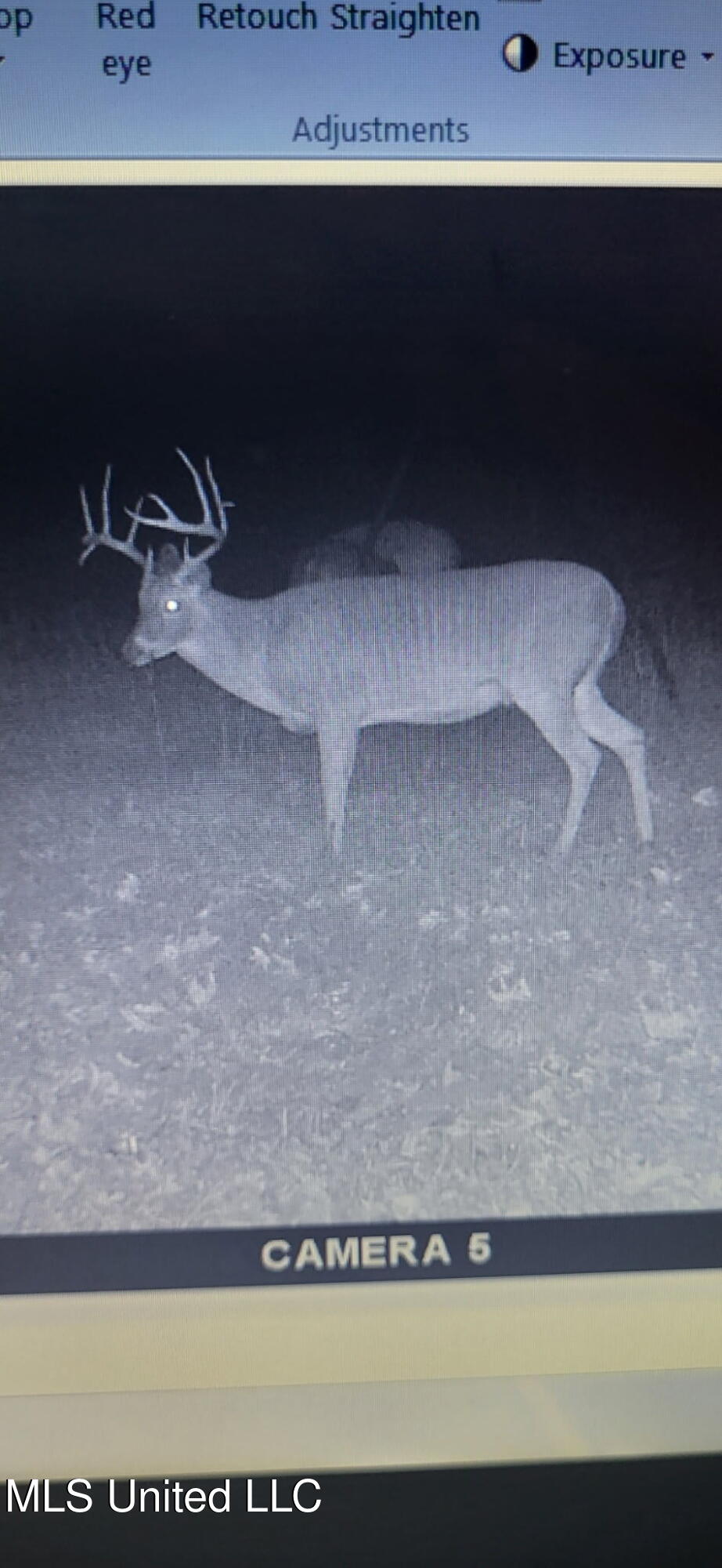 155 Haygood Road Harrisonburg, LA 71340 - Photo 2 of 41 467692662255797643