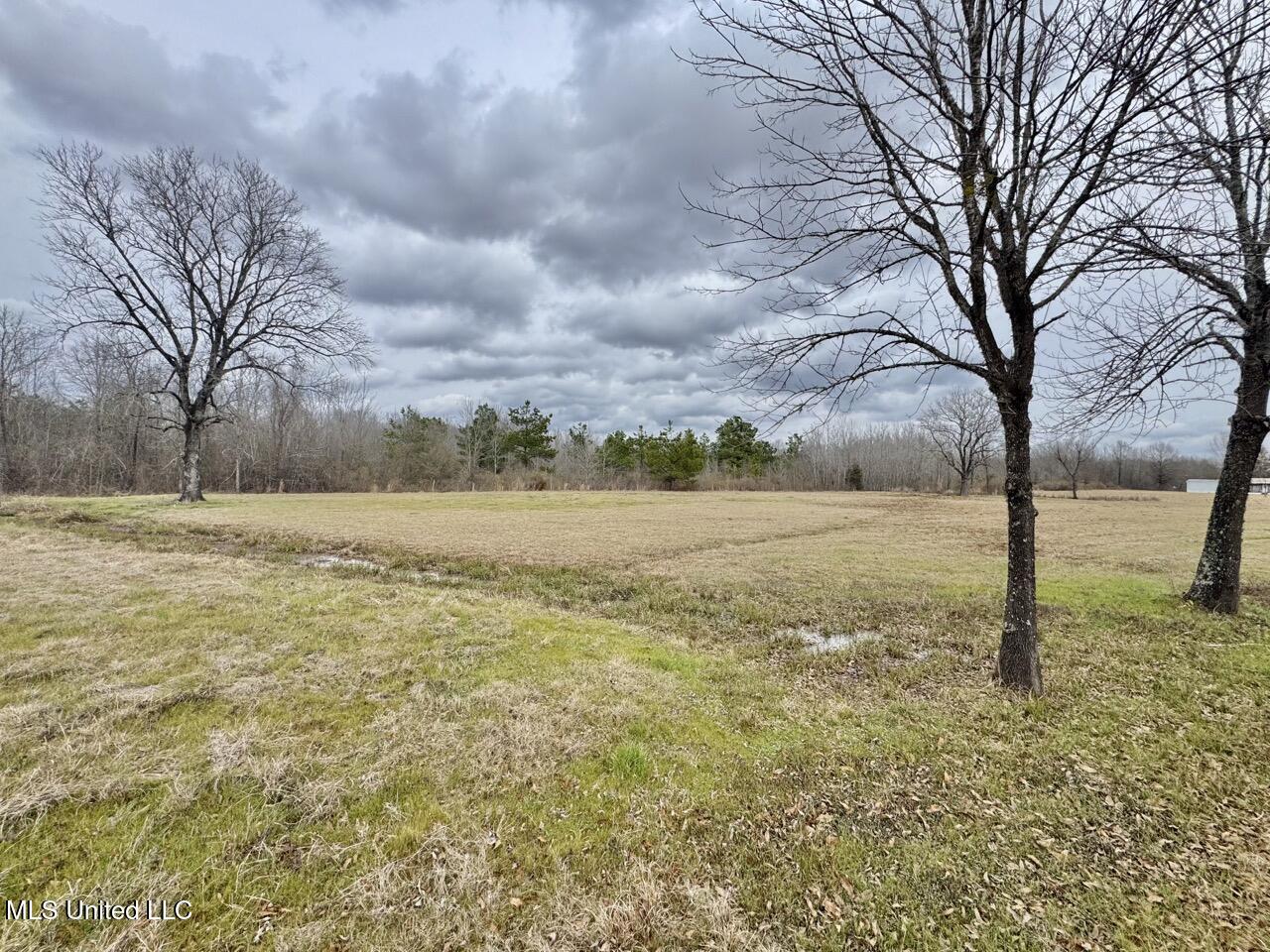 155 Haygood Road Harrisonburg, LA 71340 - Photo 21 of 41 IMG_9132 Large