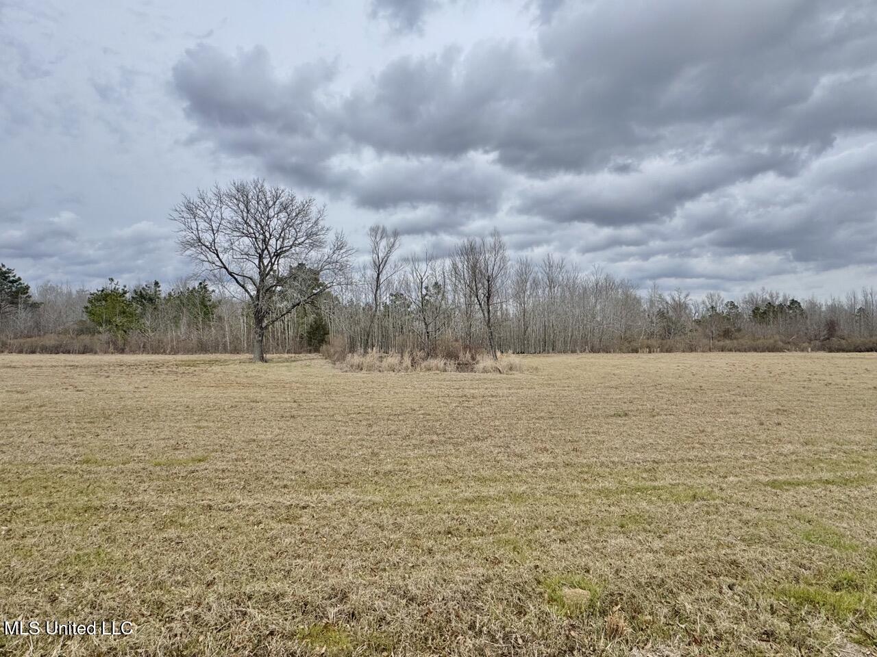 155 Haygood Road Harrisonburg, LA 71340 - Photo 22 of 41 IMG_9133 Large