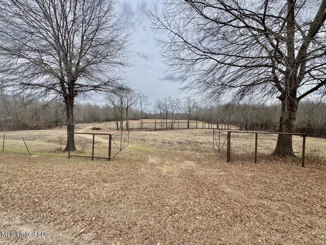 155 Haygood Road Harrisonburg, LA 71340 - Photo 23 of 41 IMG_9134 Large