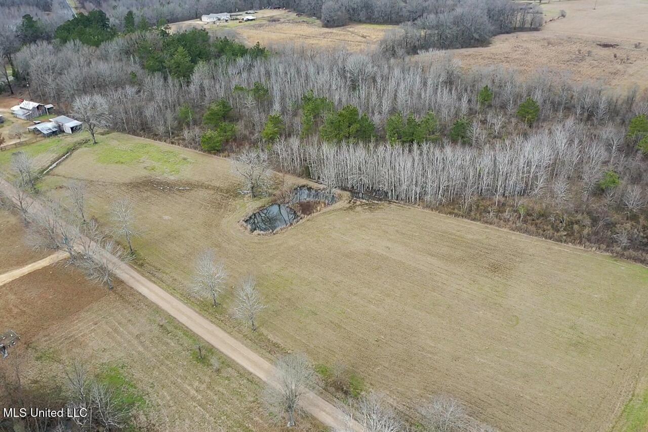 155 Haygood Road Harrisonburg, LA 71340 - Photo 29 of 41 screen_8c8506ae0452c20a_1770755839705 La