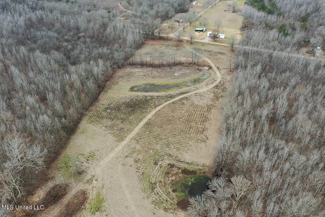 155 Haygood Road Harrisonburg, LA 71340 - Photo 38 of 41 screen_b42e8cd6e310f87a_1770756038548 La