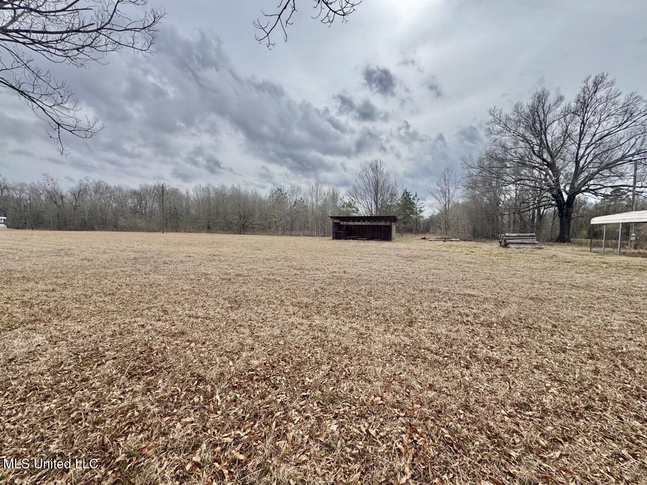 155 Haygood Road Harrisonburg, LA 71340 - Photo 9 of 41 IMG_9120 Large