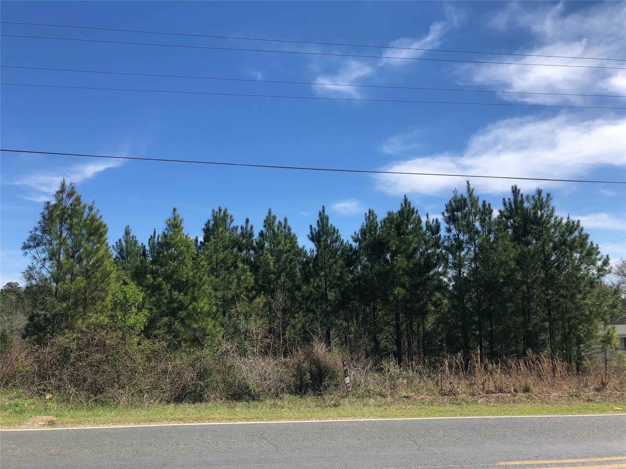 1807 Parson Grove Wadesboro, NC 28170 - Photo 3 of 4 a view of a yard