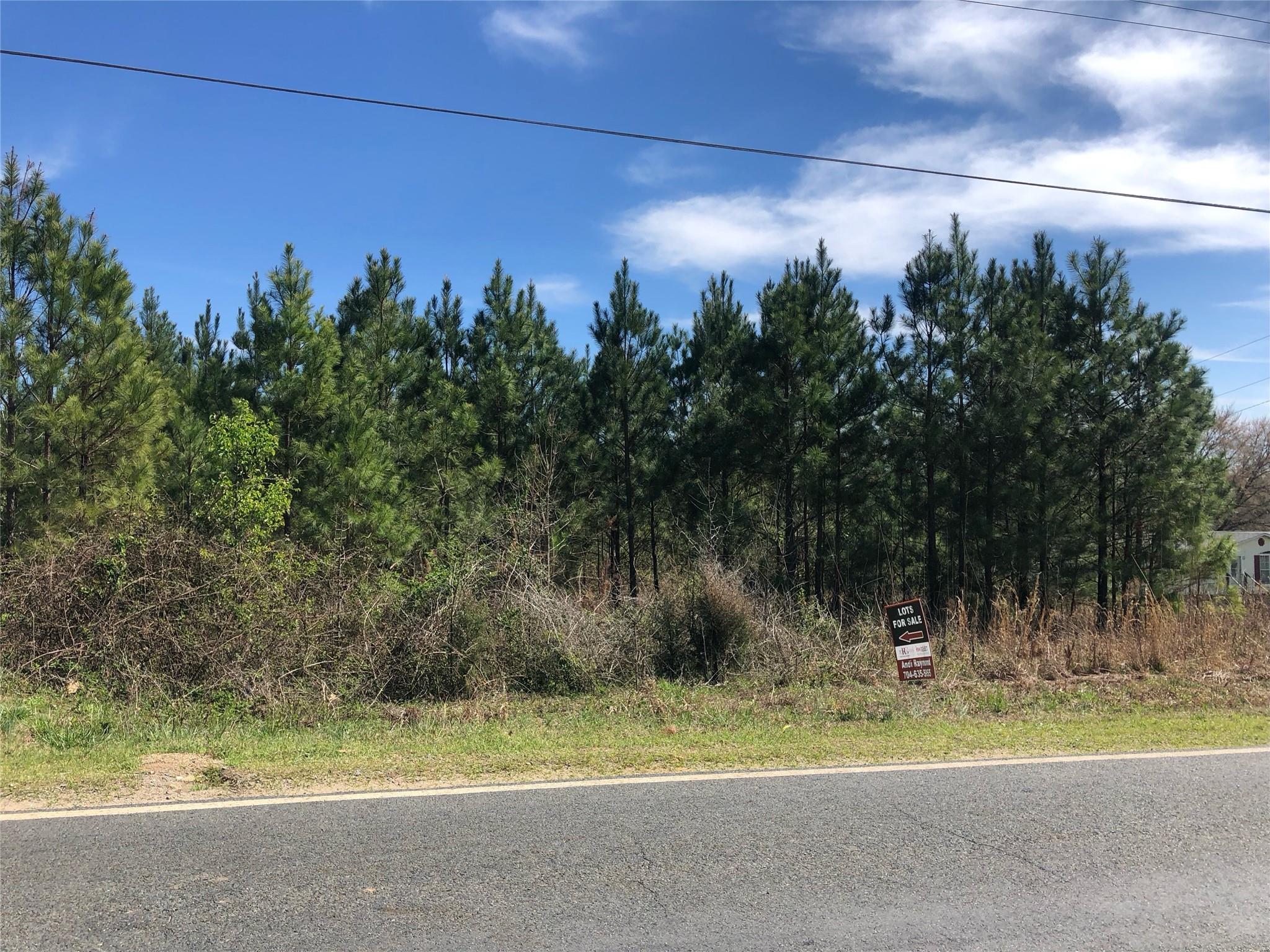 1807 Parson Grove Wadesboro, NC 28170 - Photo 4 of 4 a view of a field with a tree in the background