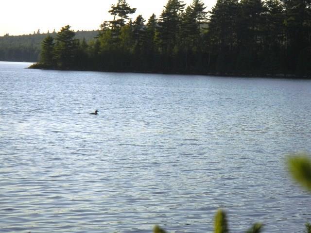 Lot D Burlington Beach Road Burlington, ME 04417 - Photo 6 of 11 Photo