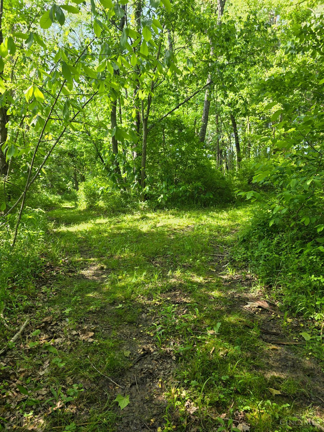 0 Fagins Run Road New Richmond, OH 45157 - Photo 18 of 28