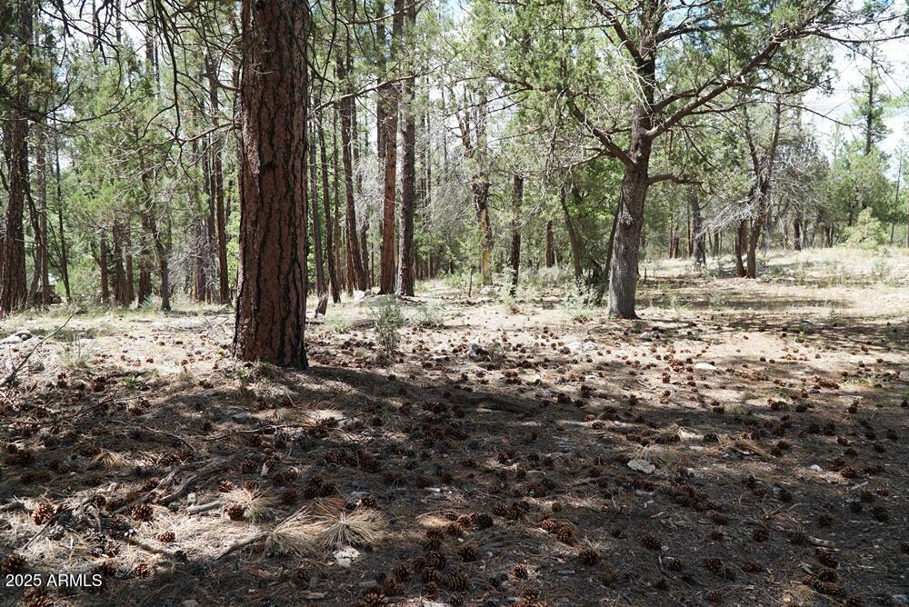 283 Lookout Trail, Unit 44 Payson, AZ 85541 - Photo 3 of 10 a view of a yard with trees