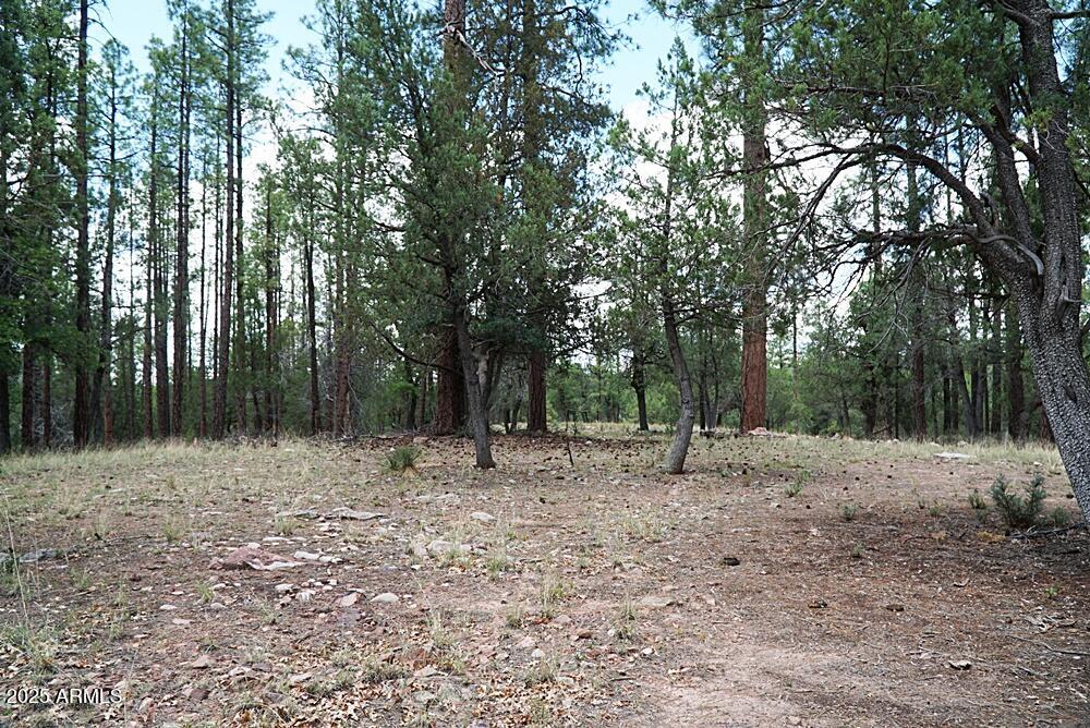 283 Lookout Trail, Unit 44 Payson, AZ 85541 - Photo 10 of 10 a view of outdoor space with trees