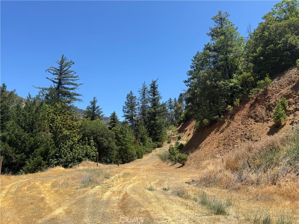 80 Rasmusen Lane Junction City, CA 96048 - Photo 62 of 67 a view of a yard covered with snow in front of house