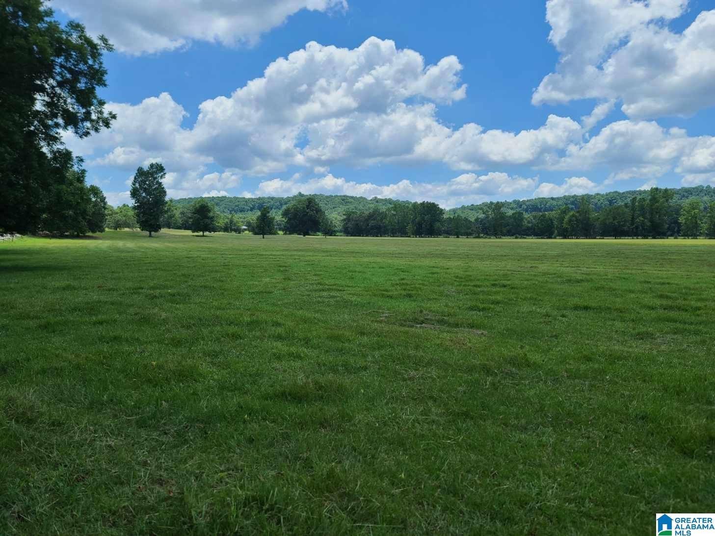 435 Lee Cutoff Road Pell City, AL 35125 - Photo 71 of 83
