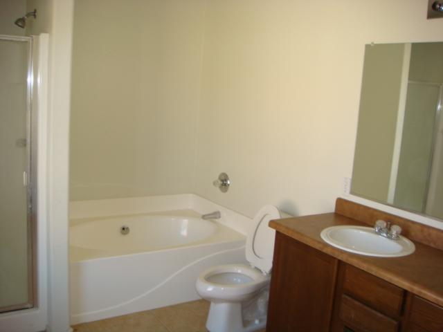 9440 West Jamestown Road Phoenix, AZ 85037 - Photo 8 of 12 MASTER BATH