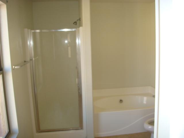 9440 West Jamestown Road Phoenix, AZ 85037 - Photo 9 of 12 MASTER BATH