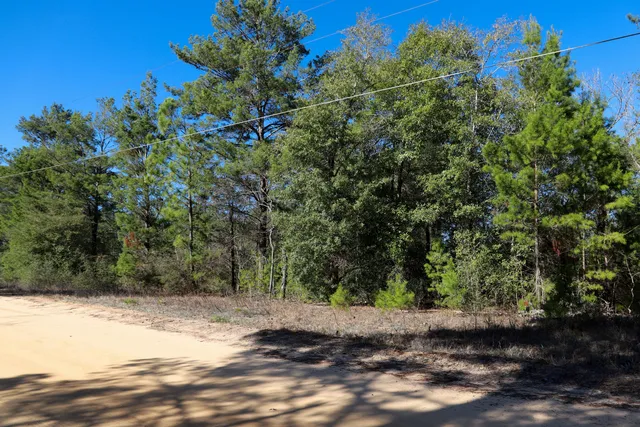 $20,000 | Lot 23 East Marigold East Avenue, DeFuniak Springs, FL 32433