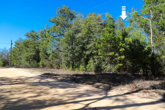 $20,000 | Lot 23 East Marigold East Avenue, DeFuniak Springs, FL 32433