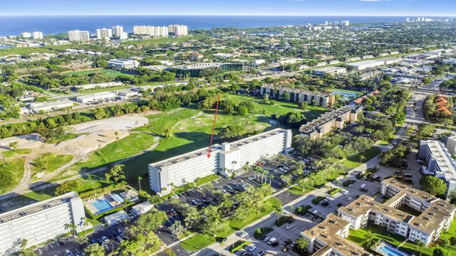 a view of a bunch of flowers and cars