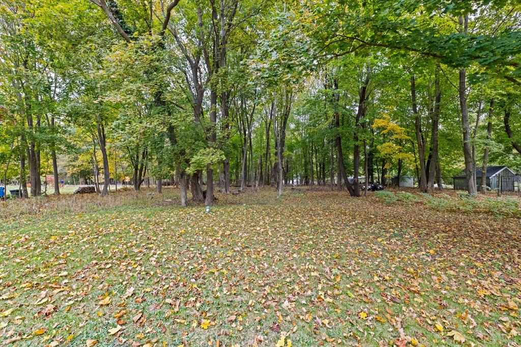 168 Spring Street Hanson, MA 02341 - Photo 35 of 40 a view of outdoor space with trees