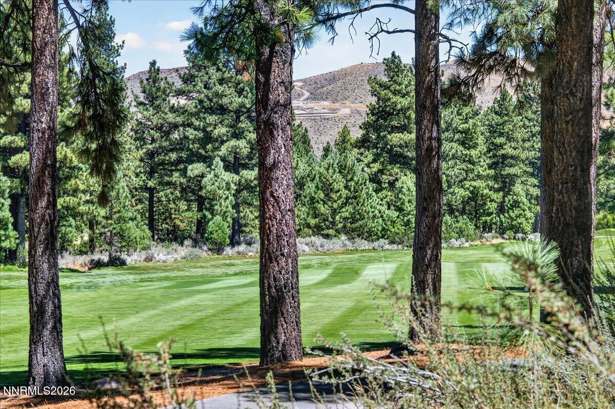 4665 Alpes Way Reno, NV 89511 - Photo 3 of 19 03-DSC_4243