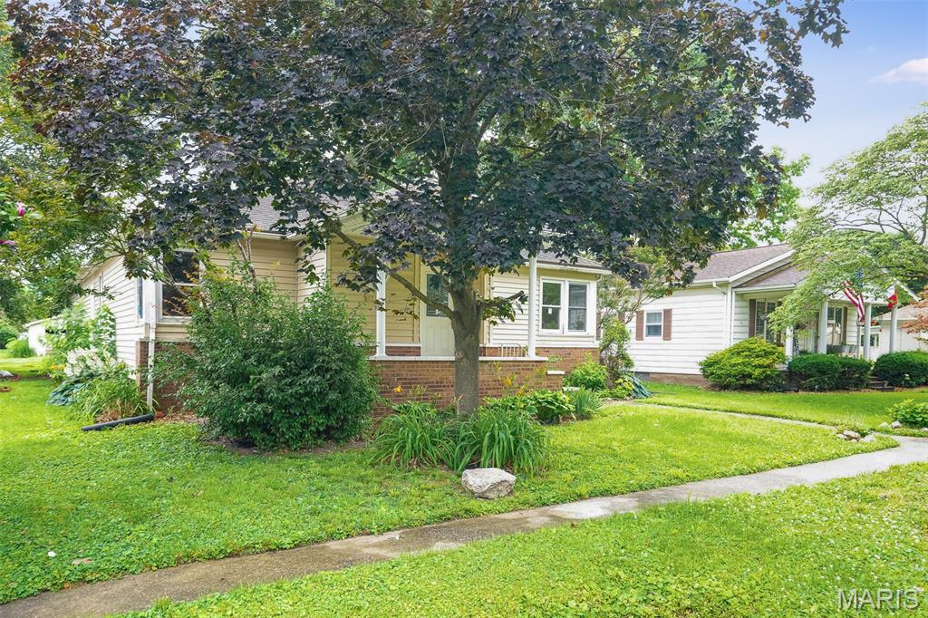 217 West Walnut Street Benld, IL 62009 - Photo 3 of 27