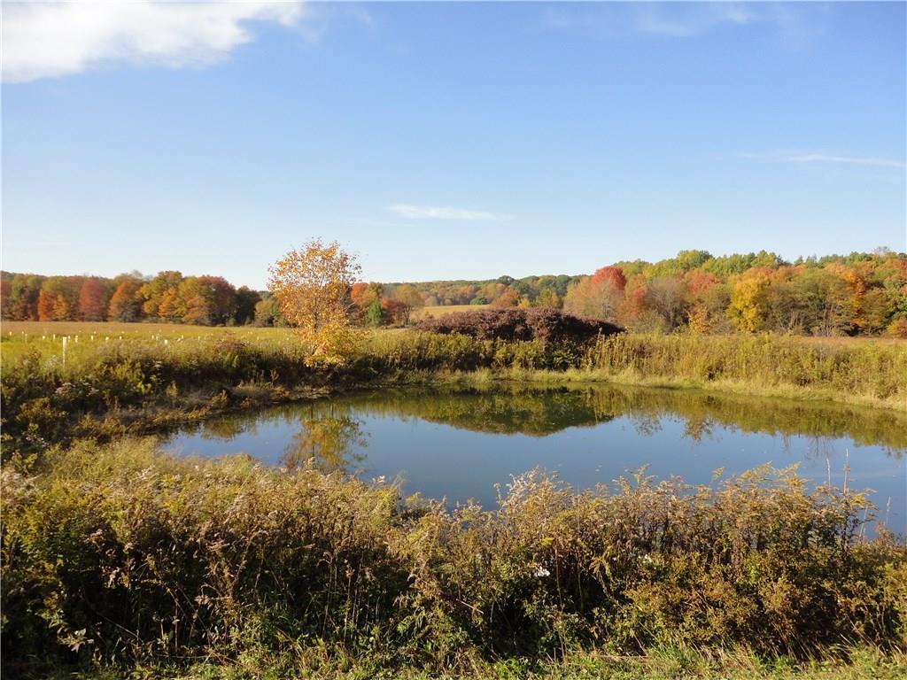 475 Donaldson Road Kennerdell, PA 16374 - Photo 23 of 25 Gallery Image 23