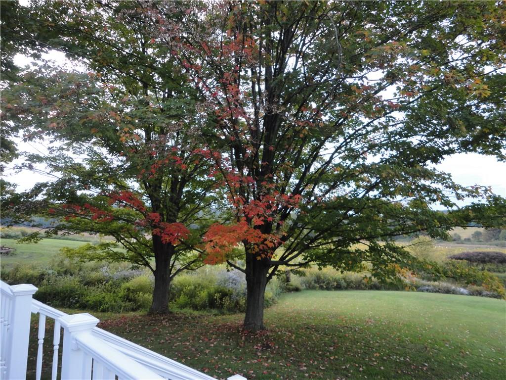 475 Donaldson Road Kennerdell, PA 16374 - Photo 25 of 25 Gallery Image 25