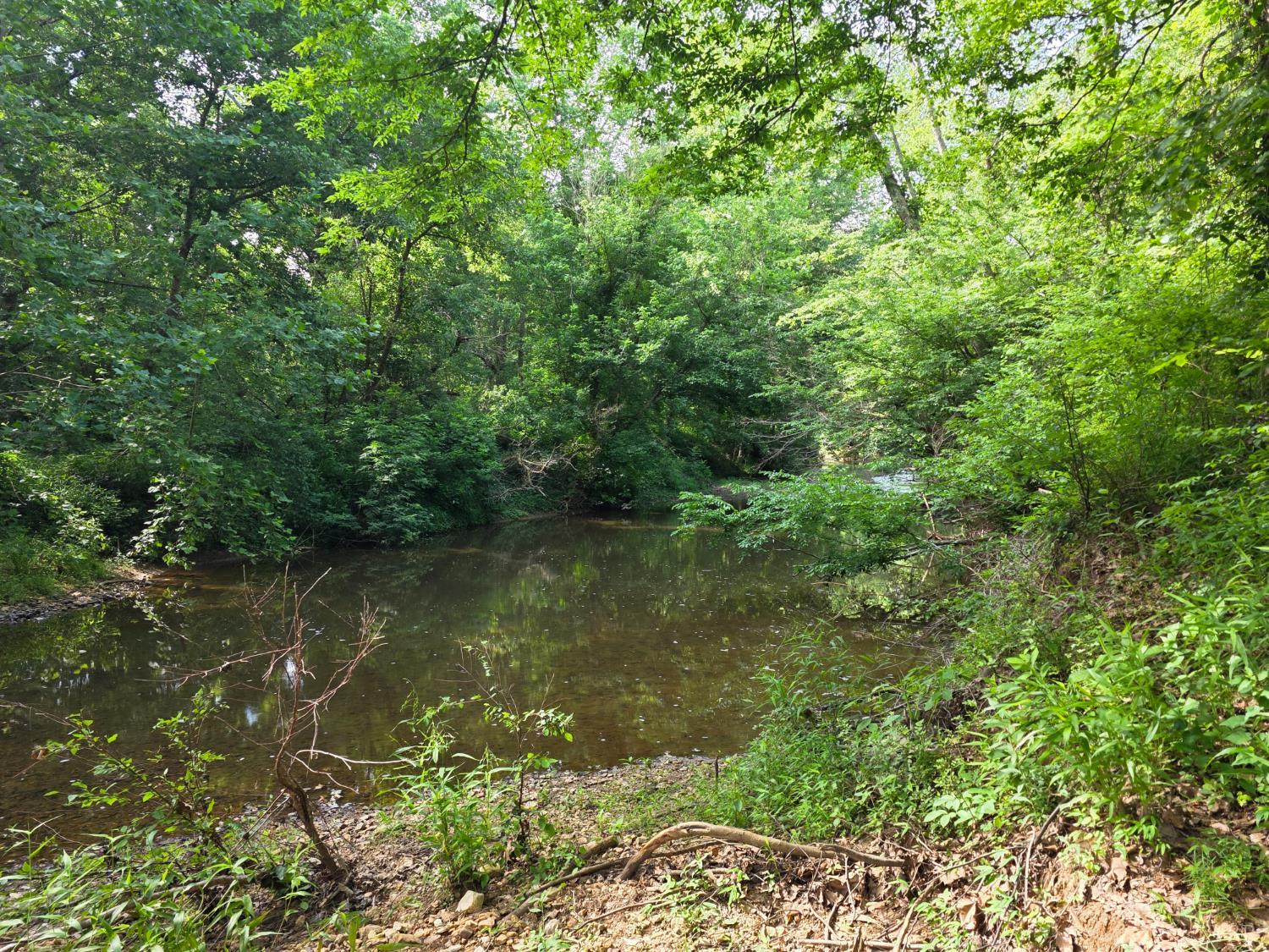 1408 Coleman Mountain Road Appomattox, VA 24522 - Photo 80 of 85