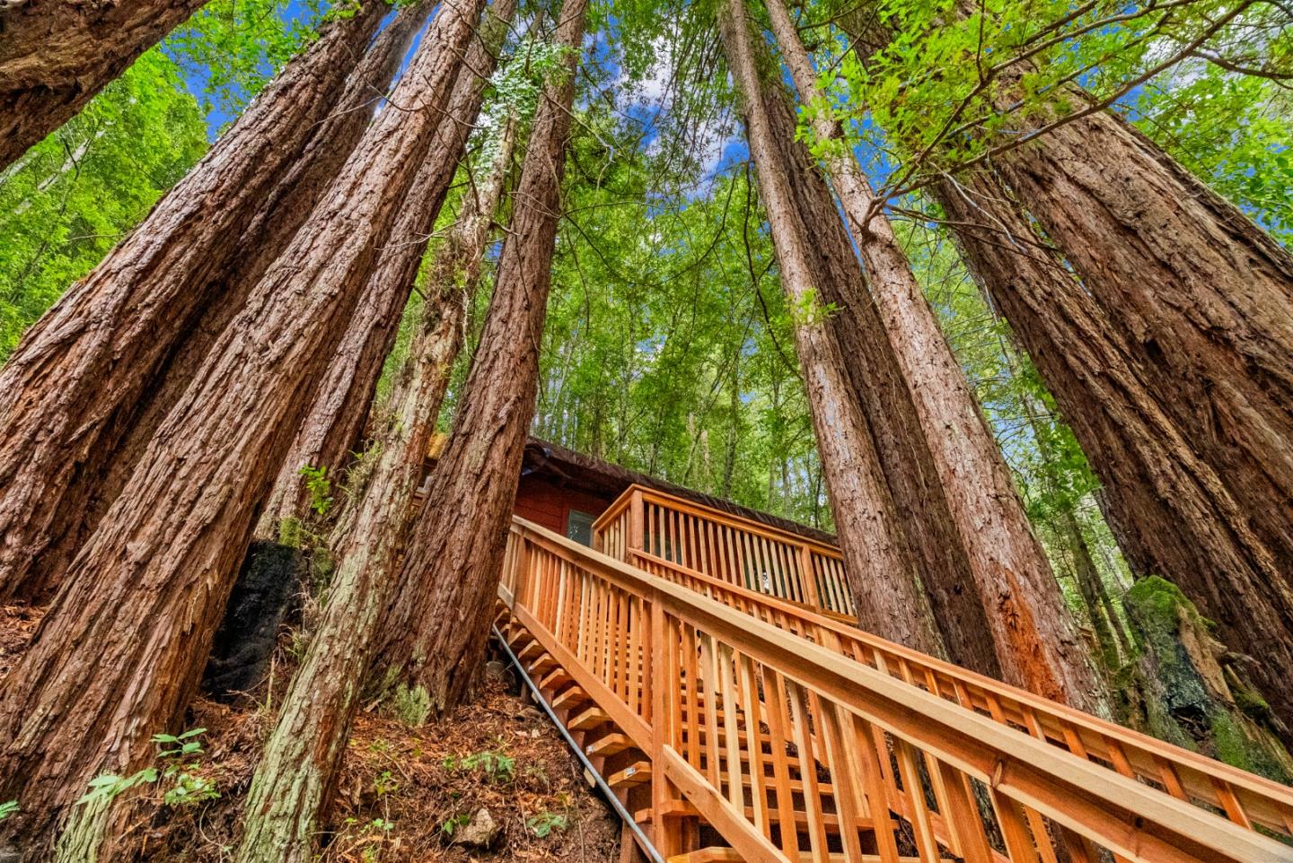 1741 Gold Gulch Road Felton, CA 95018 - Photo 1 of 15 Gallery Image 1