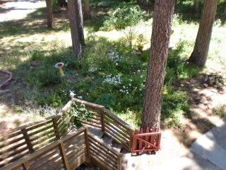8126 Starlite Pines Road Shingletown, CA 96088 - Photo 24 of 41 CIMG1815