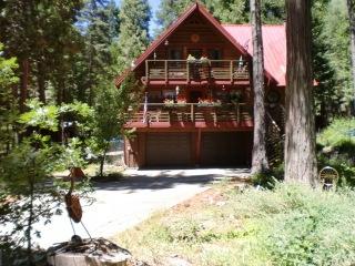 8126 Starlite Pines Road Shingletown, CA 96088 - Photo 3 of 41 CIMG1794