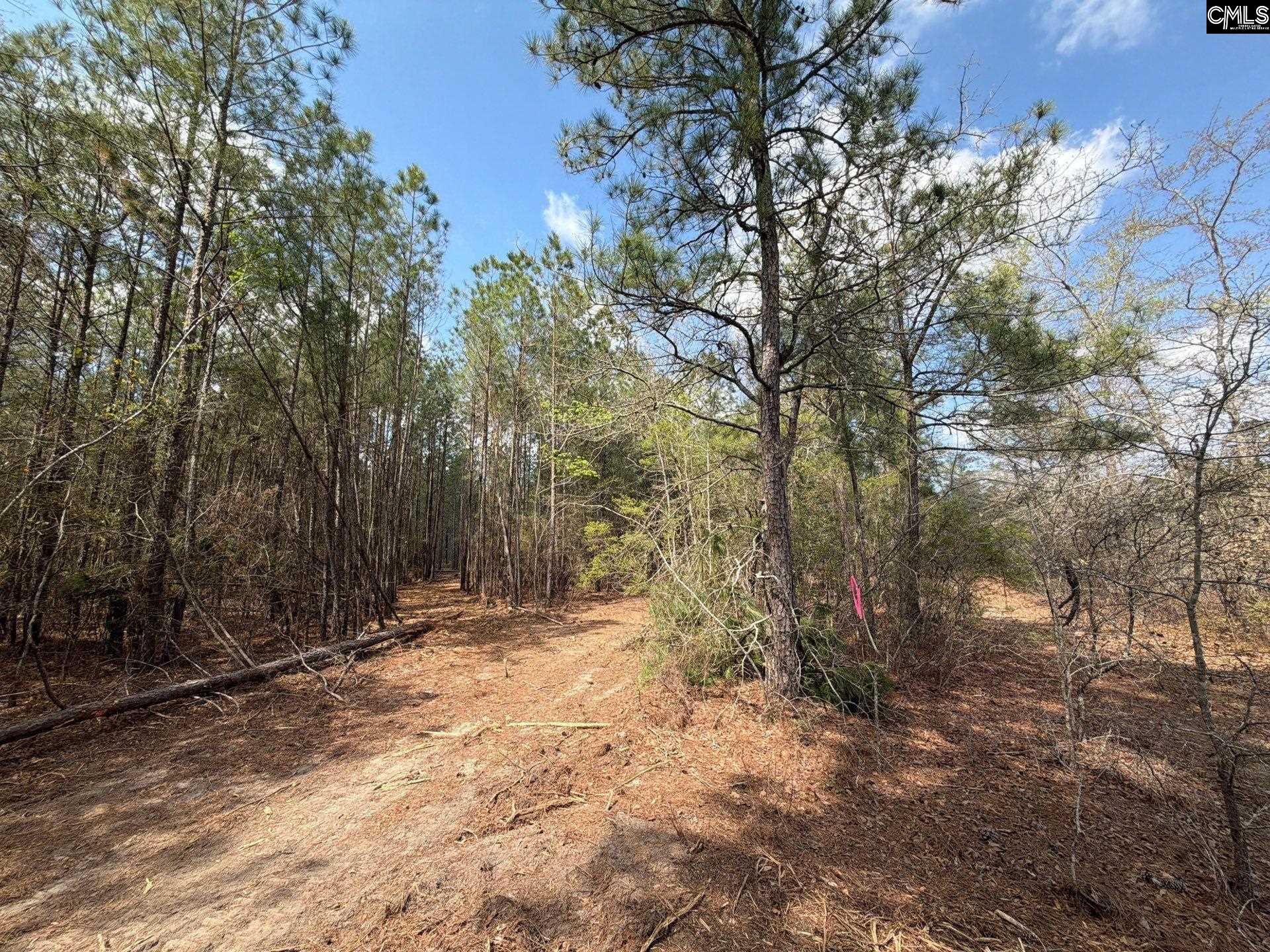 4 Mt Calvary Rd Ridge Spring Ridge Spring, SC 29129 - Photo 27 of 40