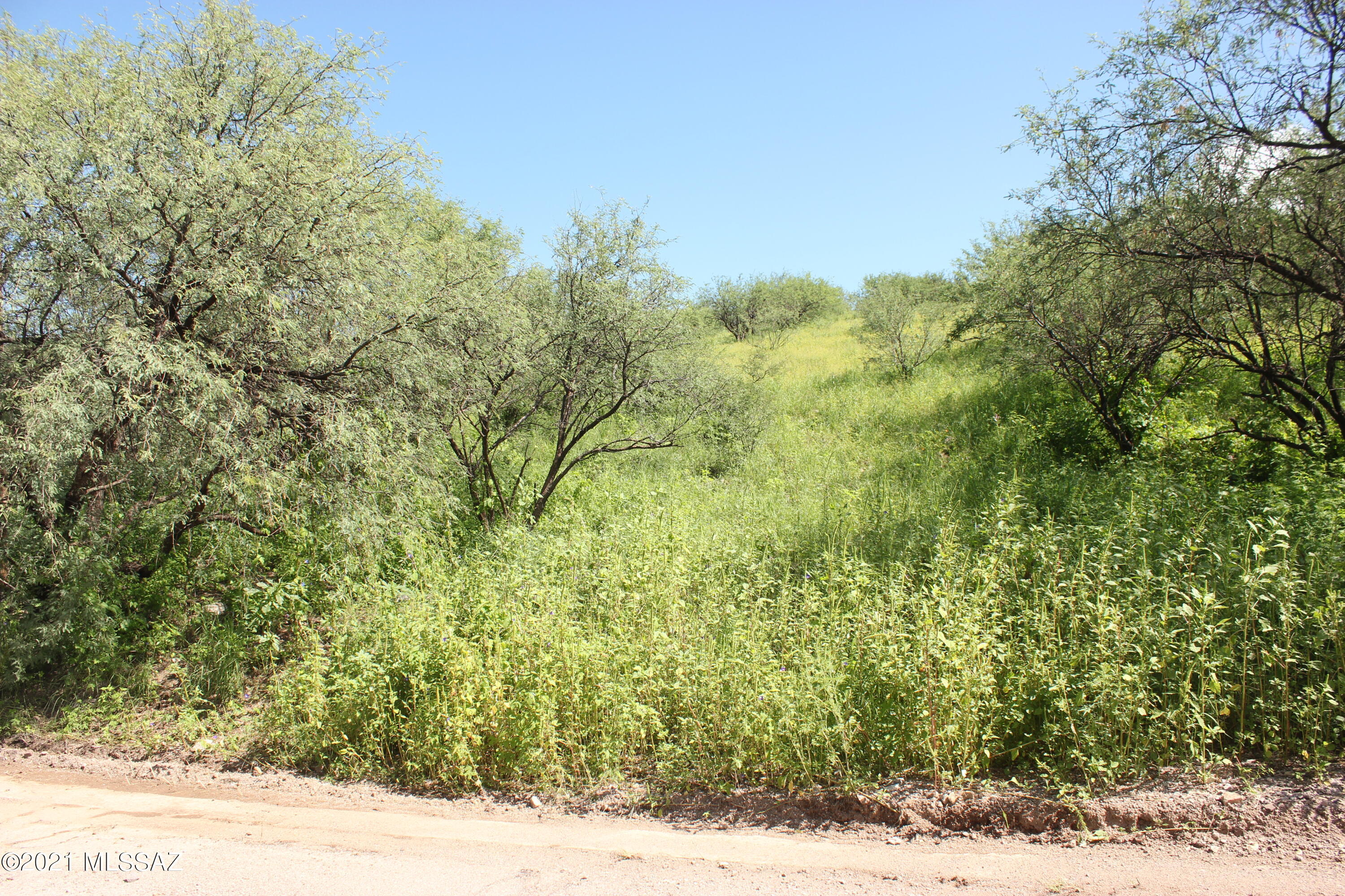 596 Paseo Reforma, Unit 69 Rio Rico, AZ 85648 - Photo 1 of 3