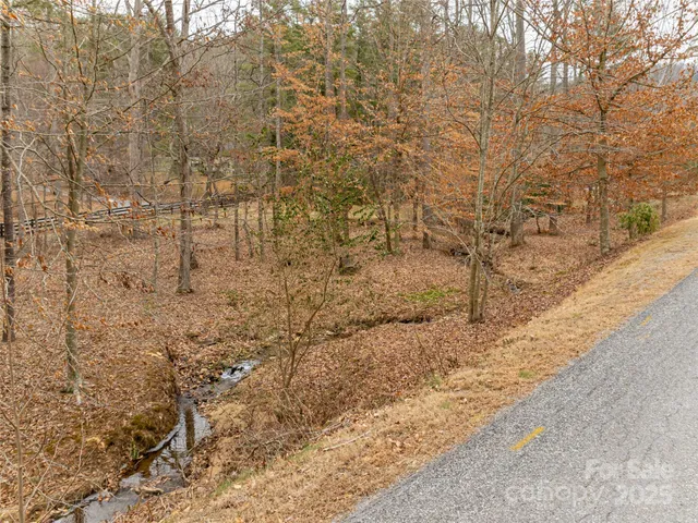 a view of a yard with trees