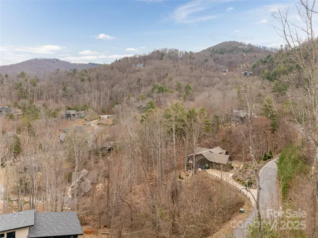 a view of a mountain in the distance