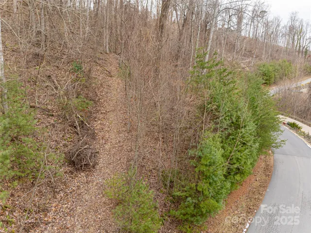 a close up of a plant in a garden