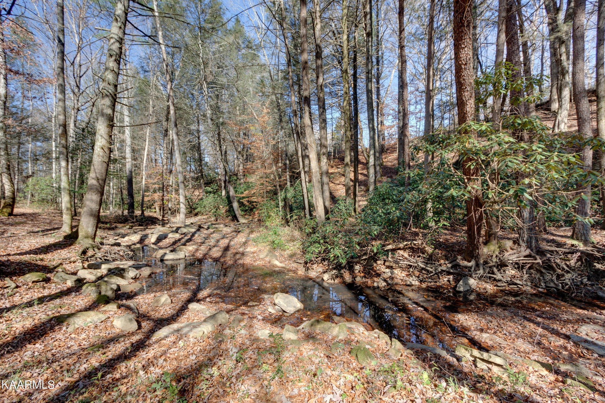 905 Williamsburg Road Winfield, TN 37892 - Photo 29 of 35