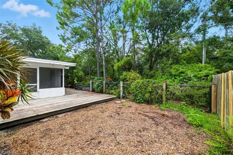 a view of a garden with plants and large trees