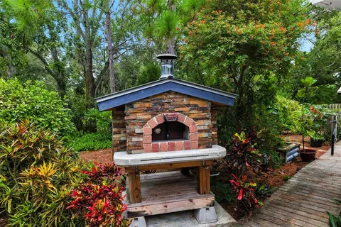 a view of a garden with plants
